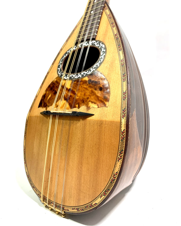 Amabile Uomo mandolin 1900/1910's