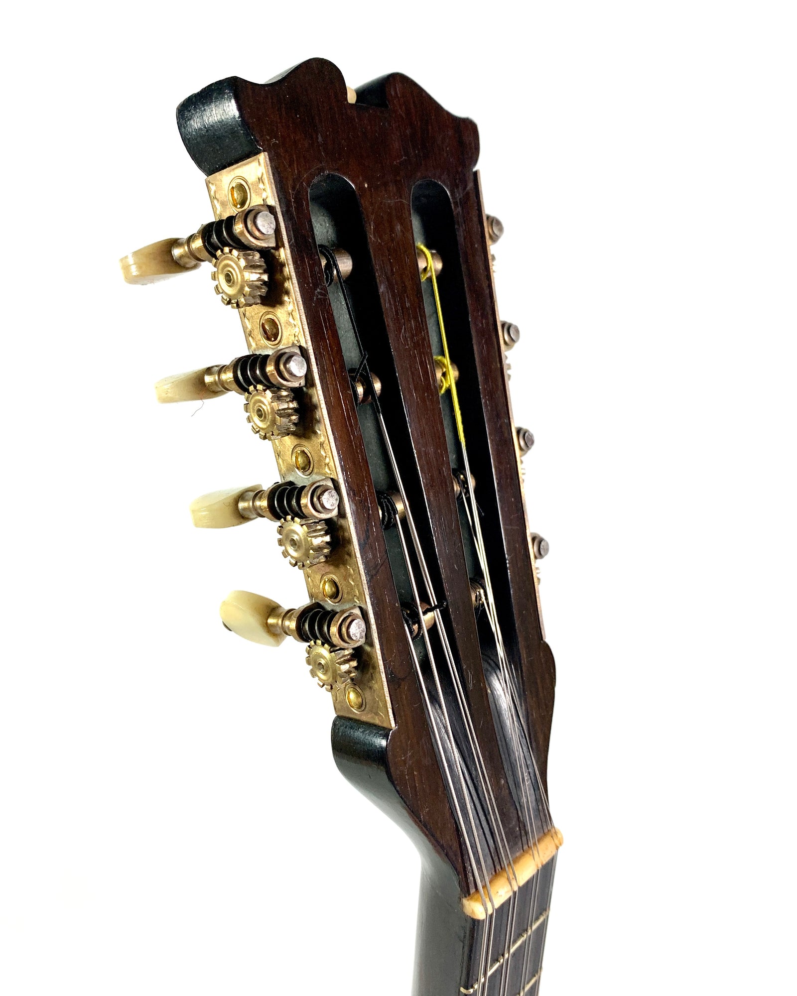 Mandolin by Gennaro and Achille Vinaccia from 1890 – L'instrumenterie