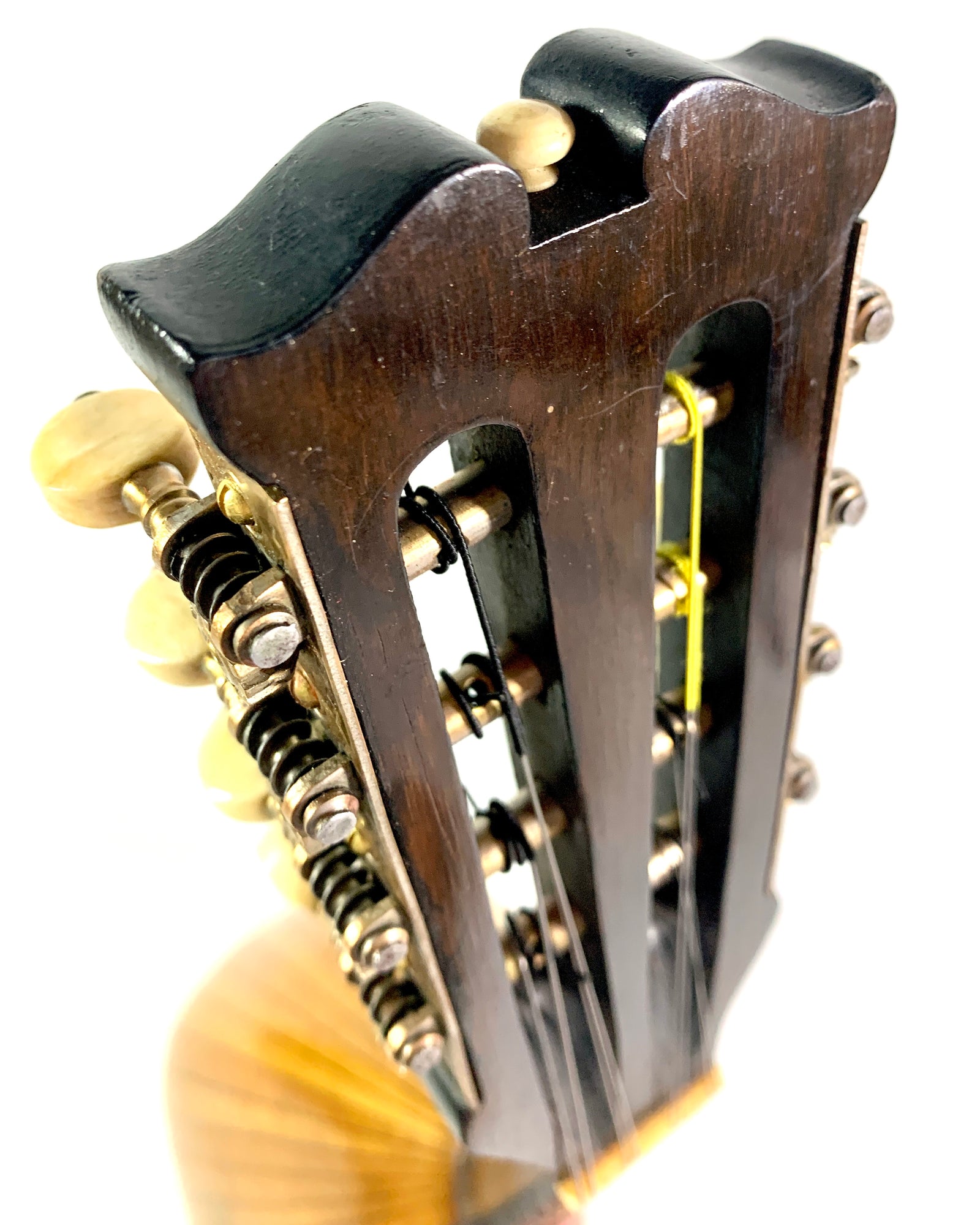Mandolin by Gennaro and Achille Vinaccia from 1890 – L
