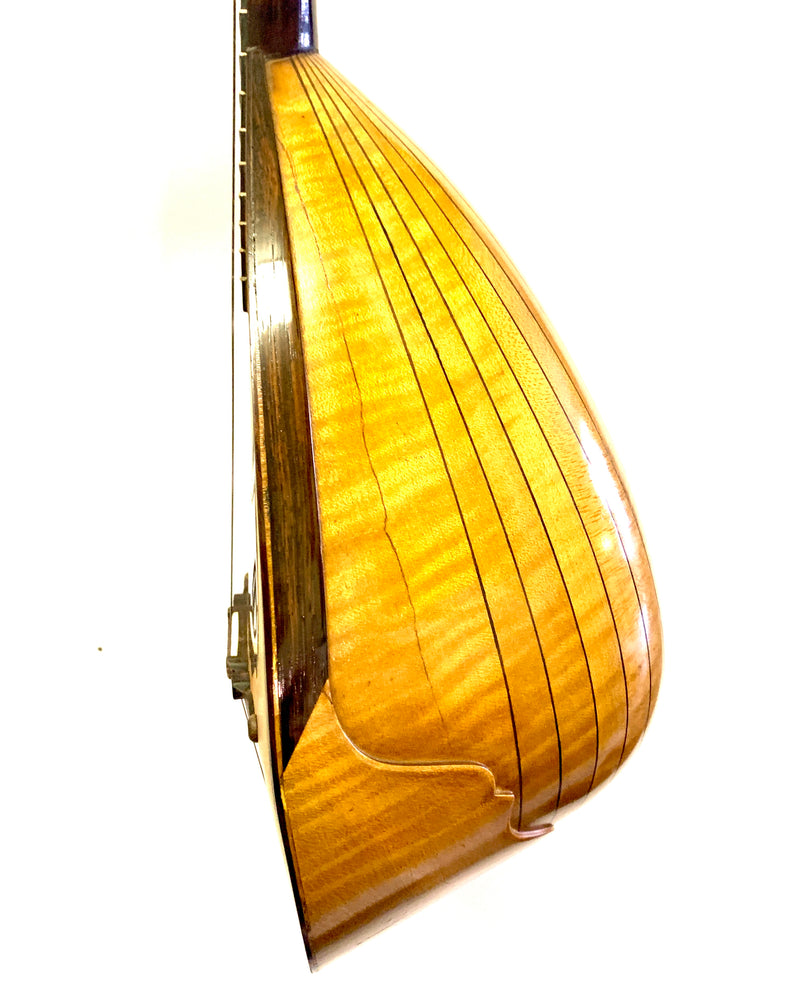Mandolin by Gennaro and Achille Vinaccia from 1890