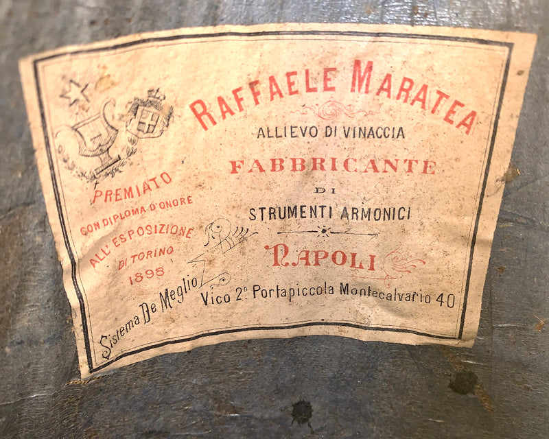 Mandoline de Concert Raffaele Maratea Côtes Creuses 1900's
