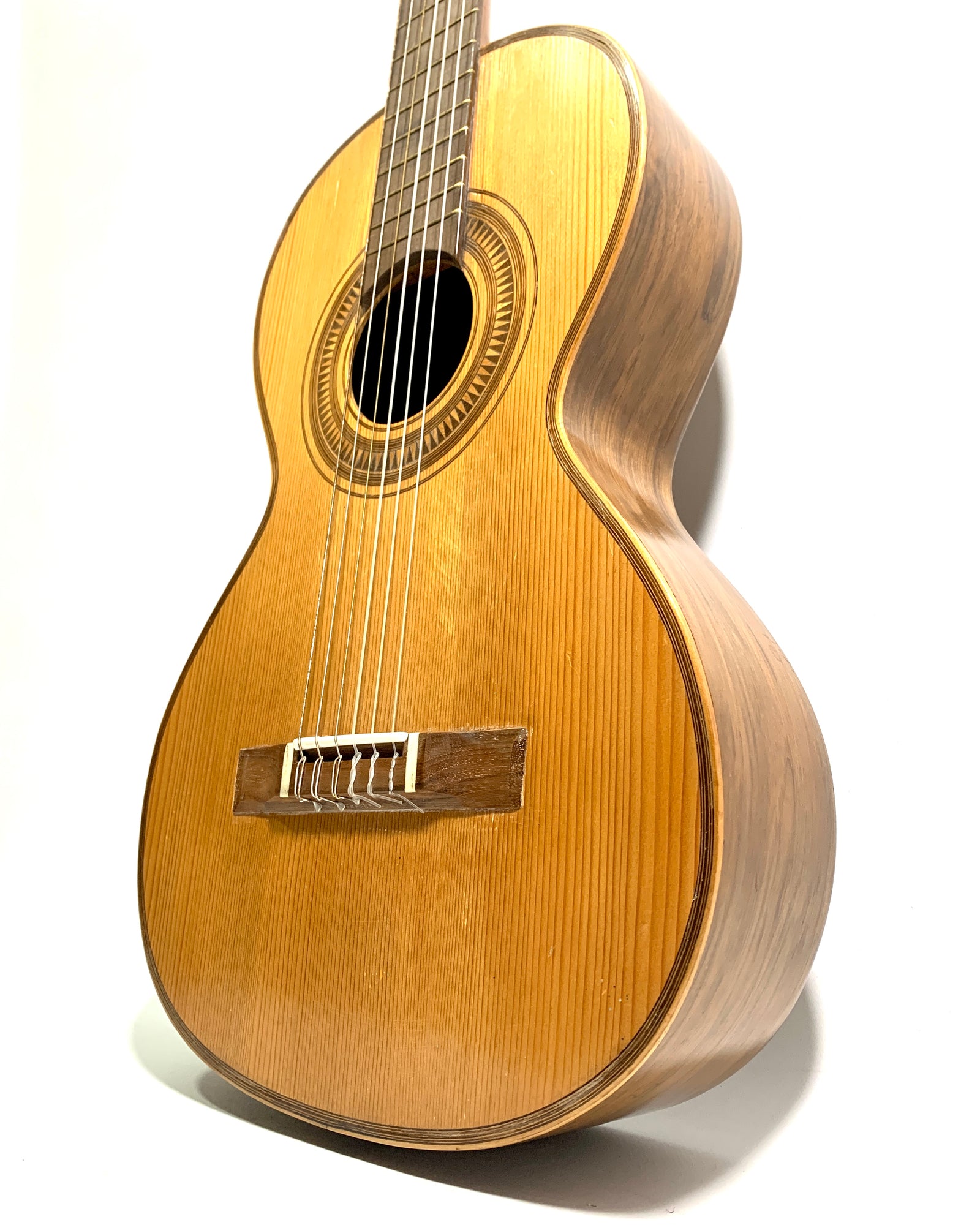 Galvador ibanez acoustic guitar best sale