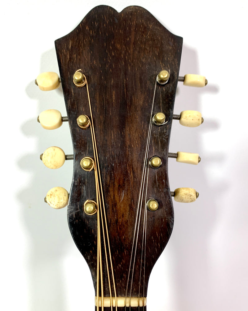 Strident mandolin 1900's