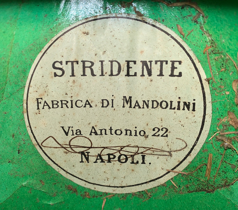 Mandoline Stridente 1900's