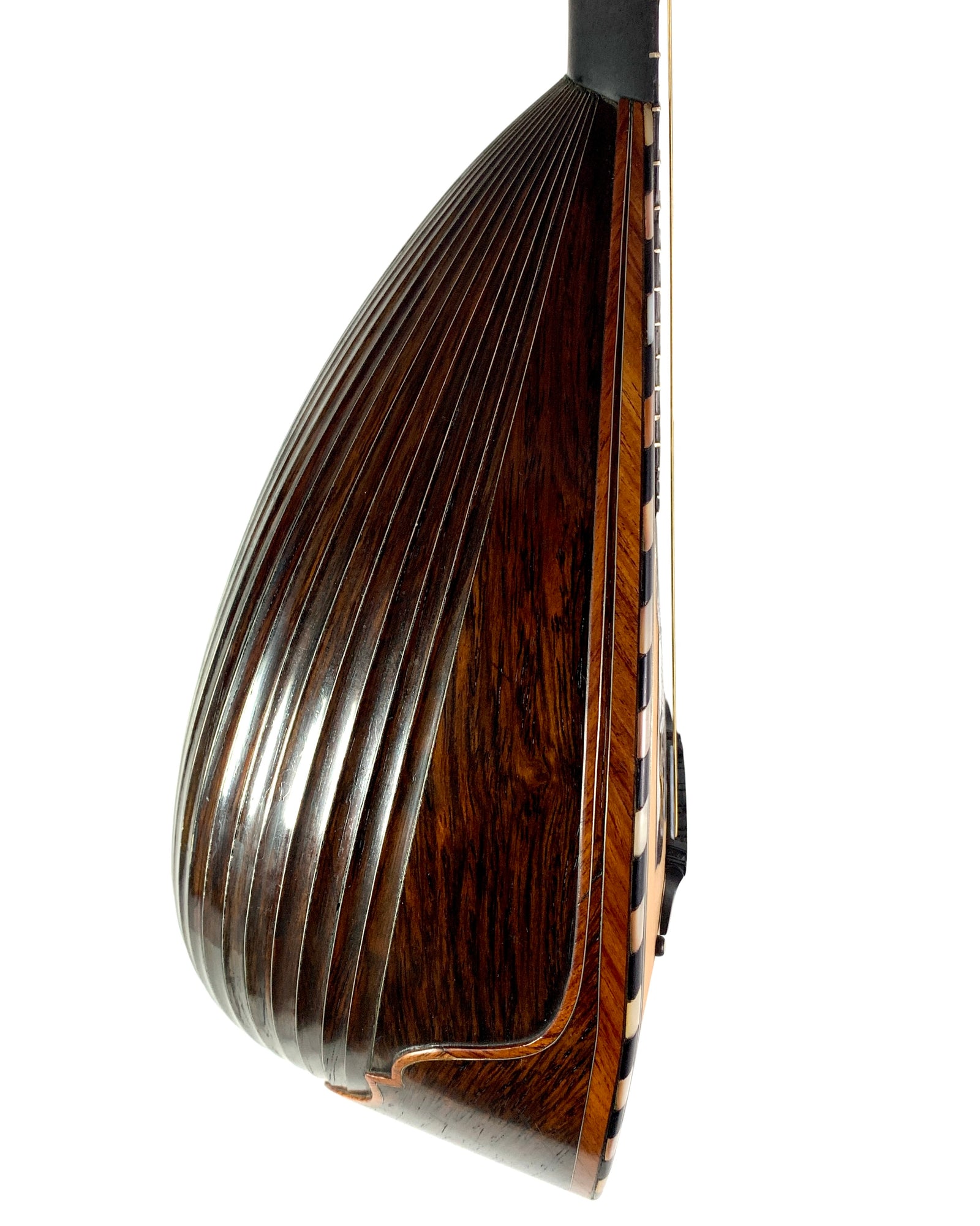 フラテリ ヴィナッチャ マンドリン Fratelli Vinaccia 24 Vinaccia Mandolins Gaetano,Gennaro,Pasquale,Antonio,Johannes