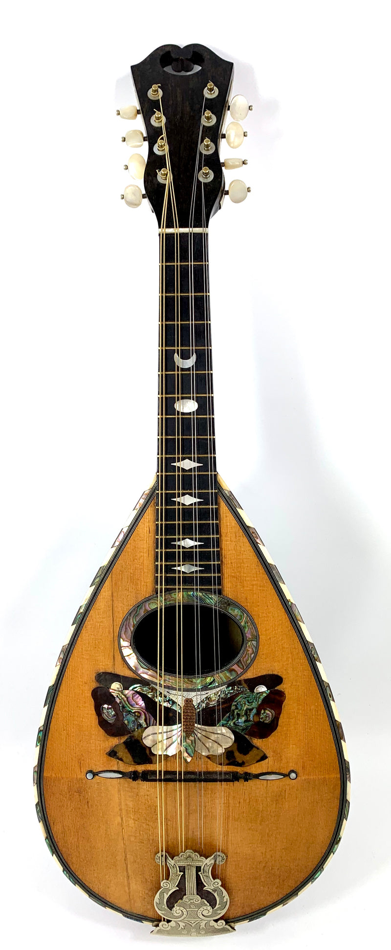 Vinaccia mandolin from 1894