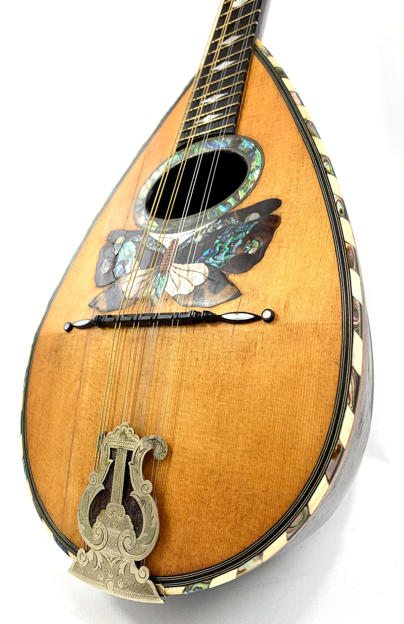 Vinaccia mandolin from 1894